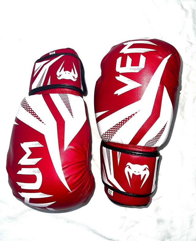 Gants Boxing Venum OG🥊